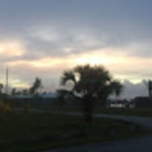 Meet your Posher, Elliot